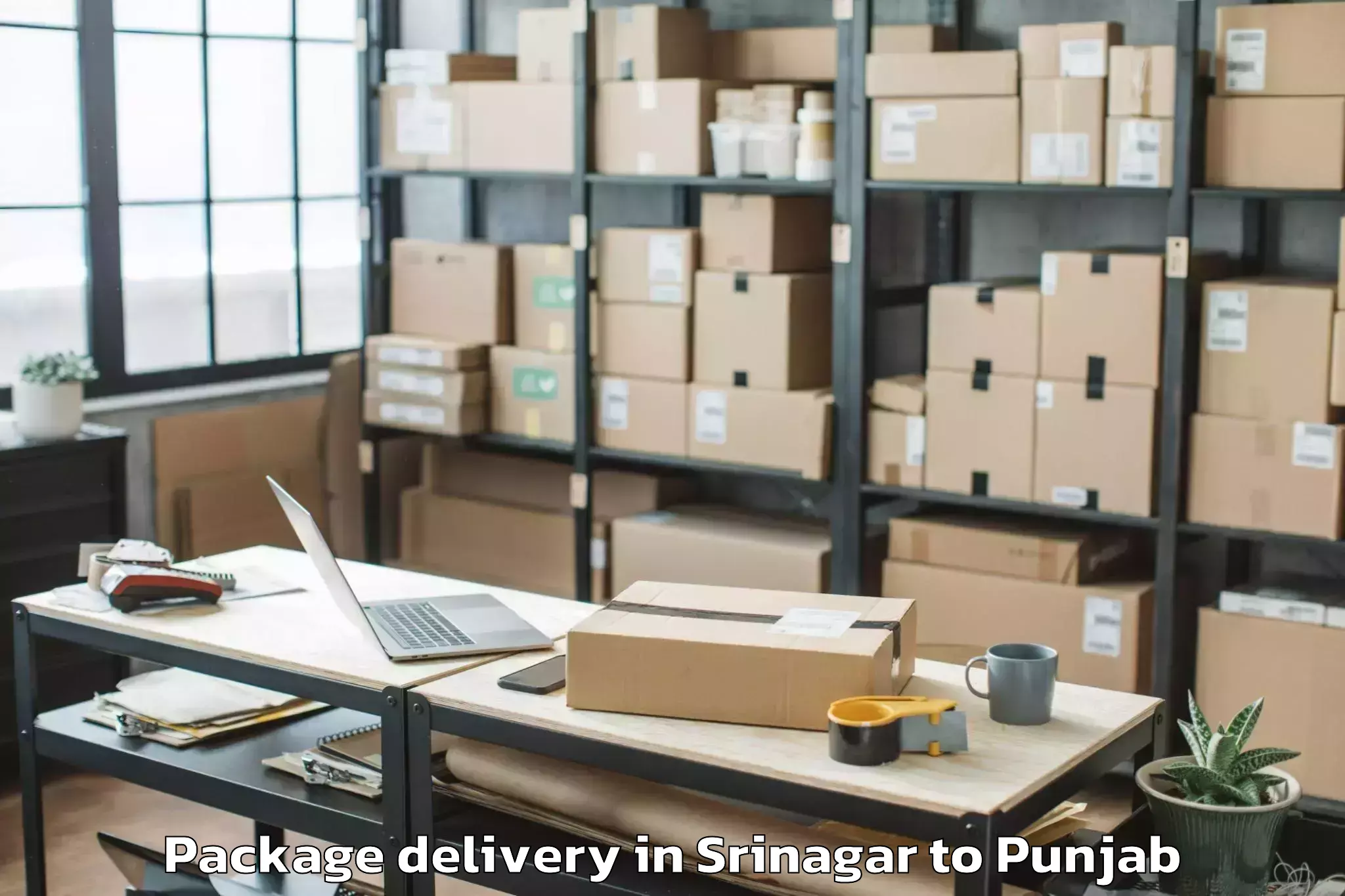 Professional Srinagar to Sujanpur Package Delivery